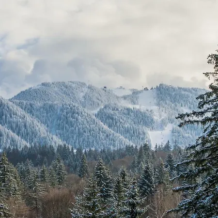 Forest Silver Mountain Apartment Poiana Brasov