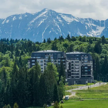 Forest Silver Mountain *