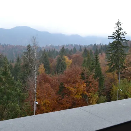 Forest Silver Mountain Apartment
