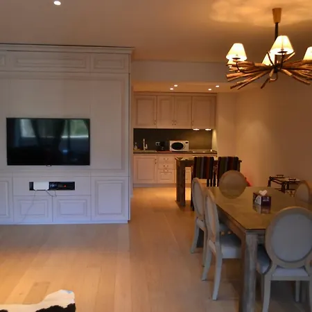 Forest Silver Mountain Apartment *