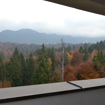 Forest Silver Mountain * Poiana Brasov