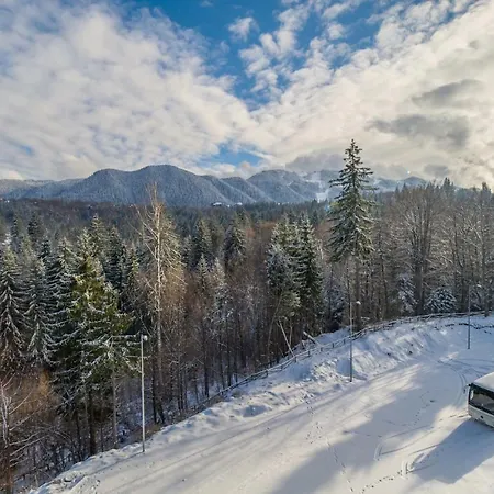 Forest Silver Mountain * Poiana Brasov
