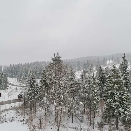 Forest Silver Mountain Apartment